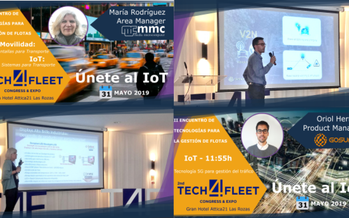 Proin eget posuere odiel cat